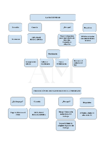 ESQUEMAS-PRESTACIONES.pdf