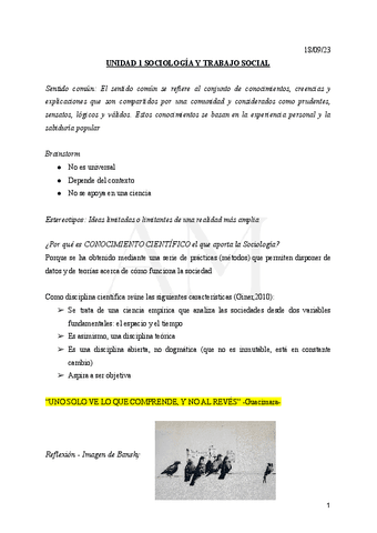 SOCIOLOGIA-APUNTES.pdf