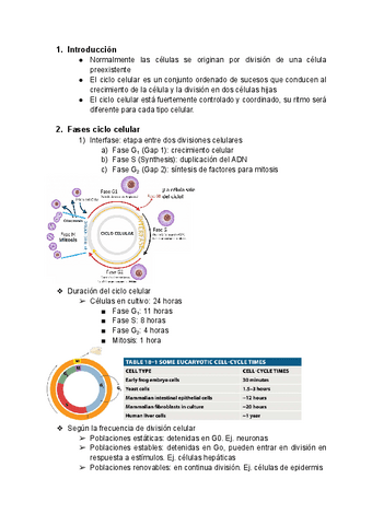 Tema-19-Ciclo-celular.pdf