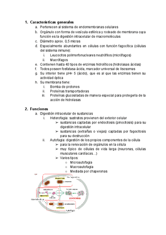 Tema-17-Lisosomas.pdf