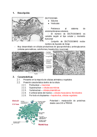 Tema-16-Aparato-de-Golgi.pdf