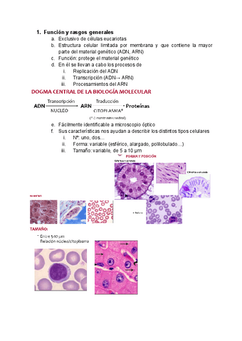 Tema-11-Nucleo-celular.pdf