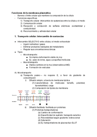 Tema-10-Membrana-celular-funciones.pdf