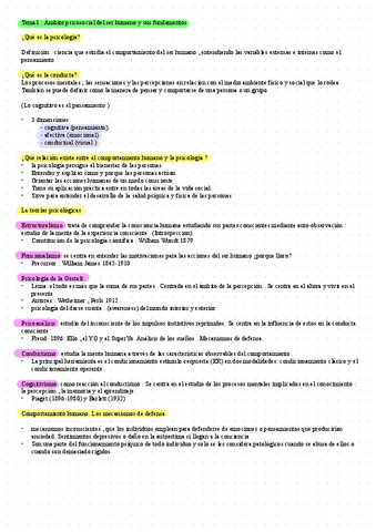 Temario-Primer-Parcial-Completo.pdf