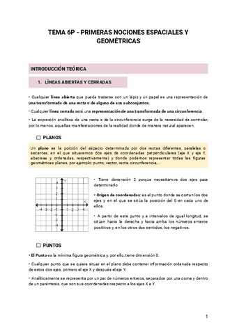 TEMA-6P.pdf