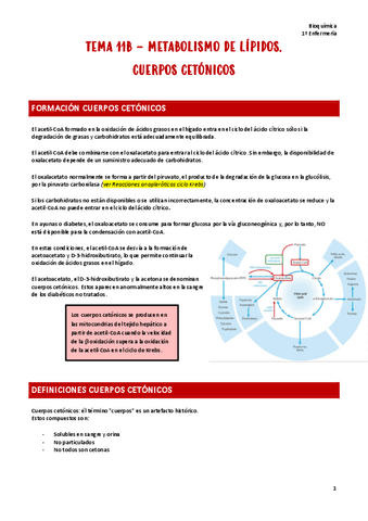 T11b.-Bioquimica.pdf