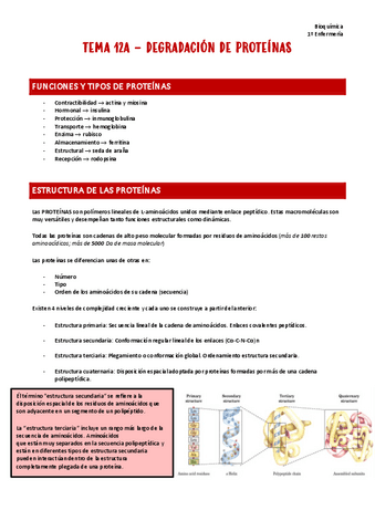 T12a.-Bioquimica.pdf