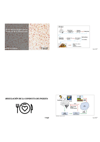Tema-7-TCA-neurobiologia.pdf