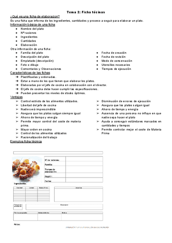 Tema-2--ficha-tecnica.pdf