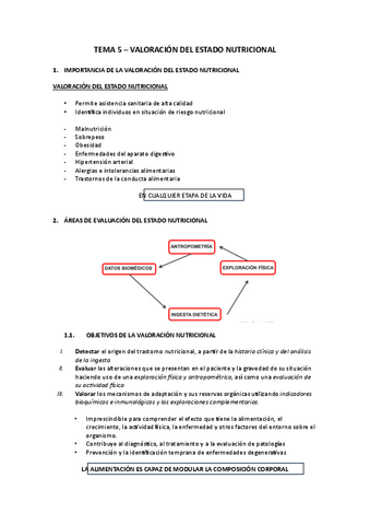 TEMA-5.pdf