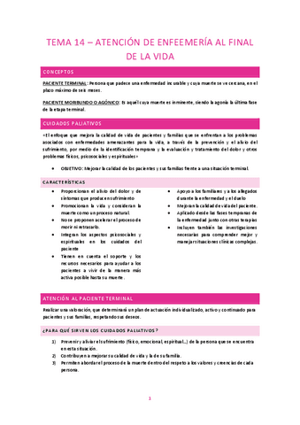 TEMA-14-COMUNITARIA.pdf