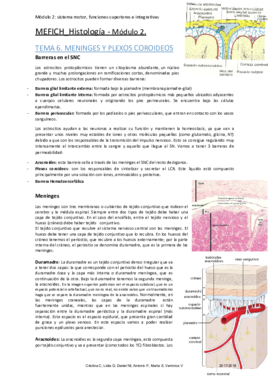 HISTOLOGIA MODULO 2.output.pdf