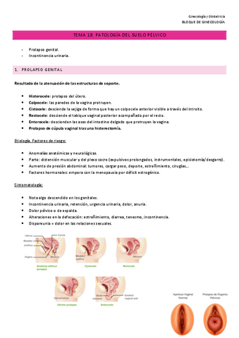 Ginecologia-y-Obstetricia-18.pdf