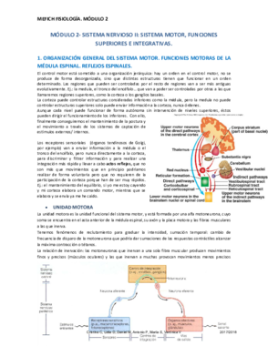 APUNTES FISIOLOGÍA MÓDULO 2.pdf