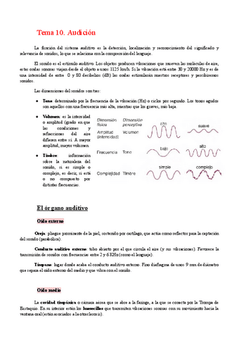 Tema-10.-Audicion.pdf