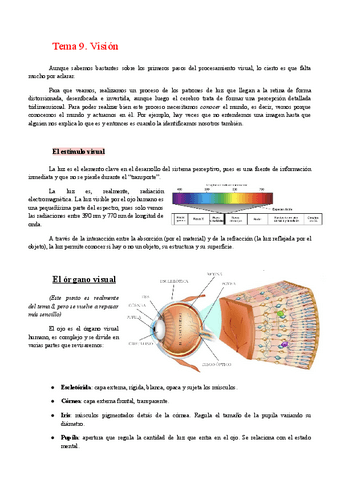 Tema-9.-Vision.pdf