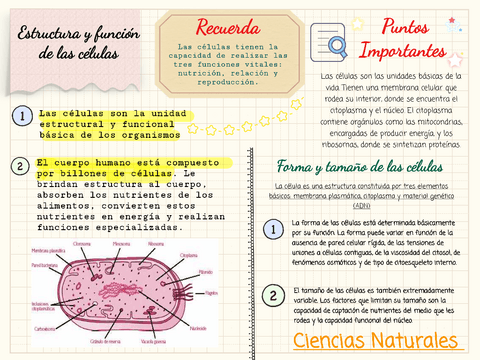 CIENCIAS-NATURALES- Las Cédulas /1.pdf