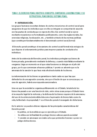 TEMA-1-EL-DERECHO-PENAL-OBJETIVO.IDP.pdf