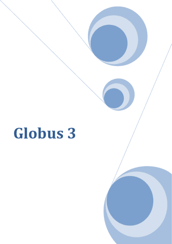 Informe1.Globus.pdf