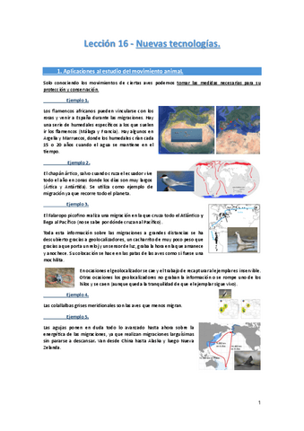 Leccion-16-Nuevas-tecnologias..pdf