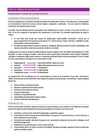 treball-en-equip-en-APS.pdf