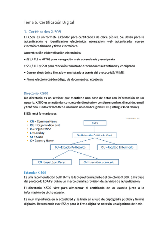 Tema5Seguridadresumen.pdf