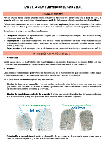 lofoscopia-T8.5.pdf