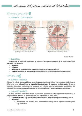 Apuntes adultos II completos.pdf