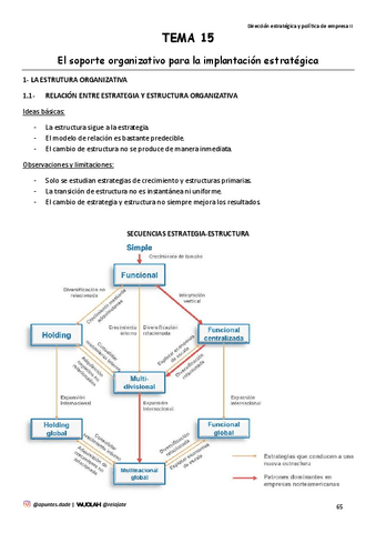 TEMA-15-El-soporte-organizativo-para-la-implantacion-estrategica.pdf