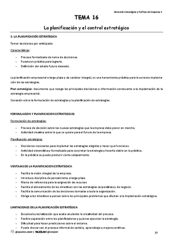 TEMA-16-La-planificacion-y-el-control-estrategico.pdf