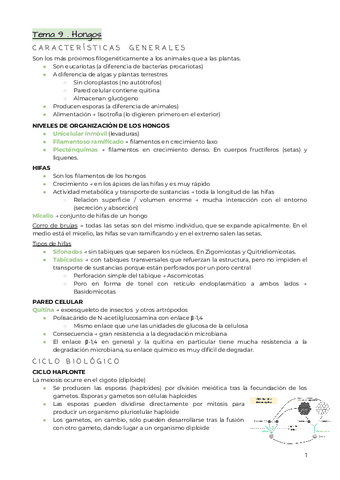 Tema-9-.-Hongos.pdf
