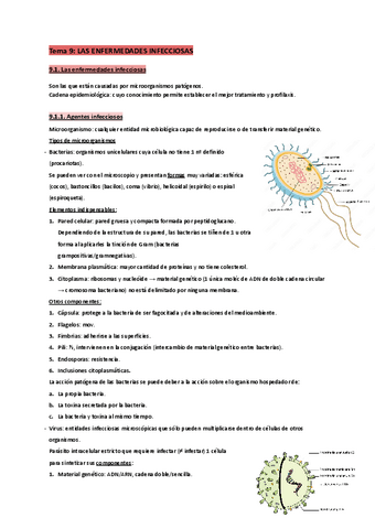 T.9-Fisiopatologia.pdf