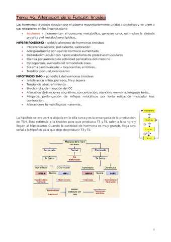 Tema-46.-Alteracion-de-la-funcion-tiroidea.pdf