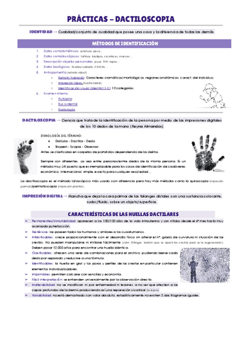 PRACTICA-DACTILOSCOPIA.pdf