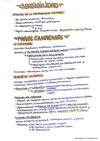 Resumen-Seminario-Nervioso-Preguntas-subrayadas.pdf