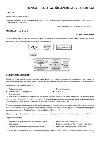 tema-3-programas-de-att-a-la-discapacidad.pdf