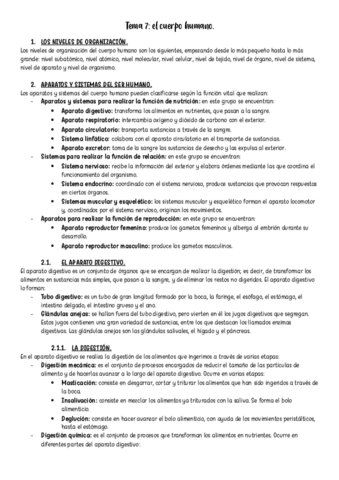 Tema-7.pdf