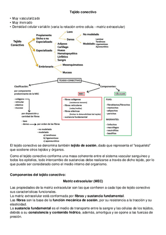 Histologia-Tejido-conectivo-no-especializado.pdf