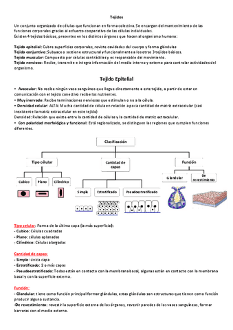 Histologia-Tejido-epitelial.pdf