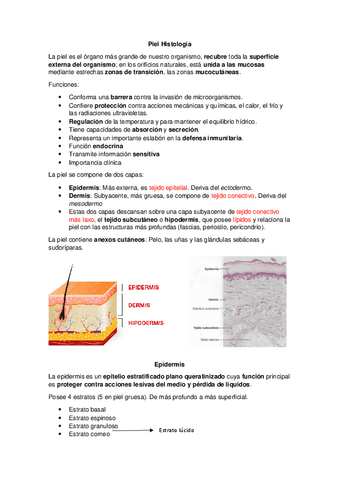 Histologia-de-piel.pdf