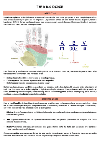 lofoscopia-T9.pdf