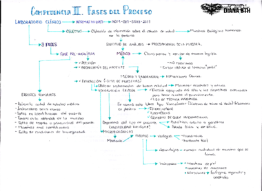 FASES DEL PROCESO.pdf