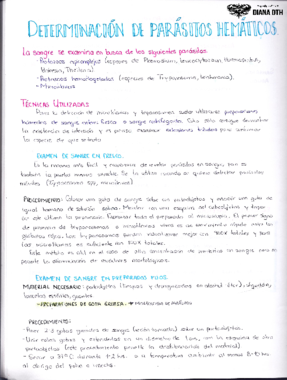 DETERMINACIÓN DE PARÁSITOS HEMÁTICOS.pdf