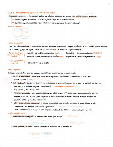 resumen-modgen.pdf