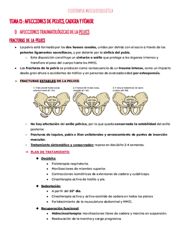 Tema 15: pelvis cadera y femur.pdf