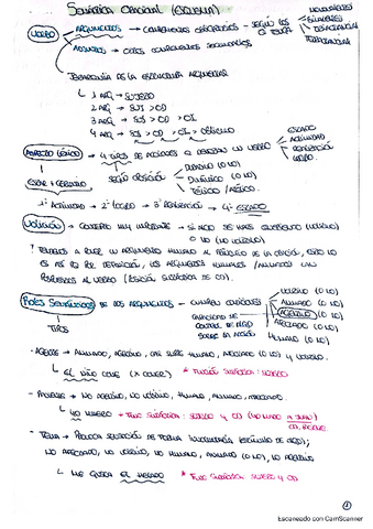 esquema-semantik-oracional-1.pdf