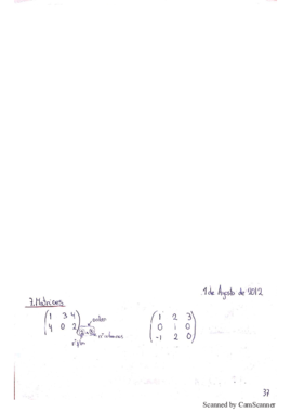 Apuntes con ejemplos (Matemáticas I).pdf