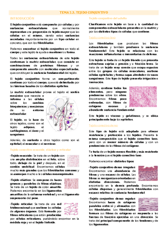 Tema 3 biología tisular, Tejido conjuntivo.pdf