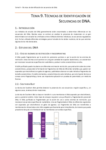 Tema 9.pdf