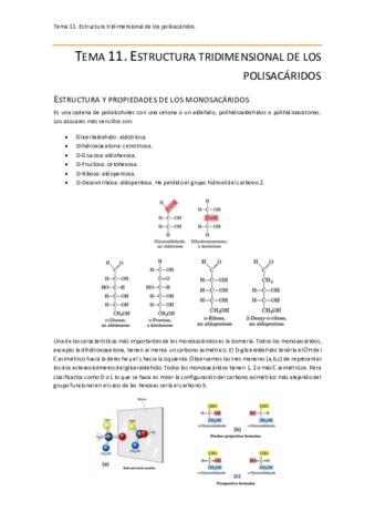 Tema 11.pdf